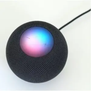 Apple Homepod Mini Wireless Smart Speaker With Siri - Black.